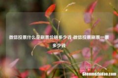 微信投票什么是刷票价格多少钱 微信投票刷票一票多少钱