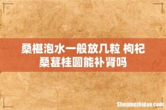 桑椹泡水一般放几粒 枸杞桑葚桂圆能补肾吗