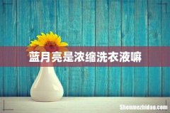 蓝月亮是浓缩洗衣液嘛