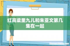 红高粱里九儿和朱亚文第几集在一起