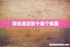 丽铂酒店属于哪个集团