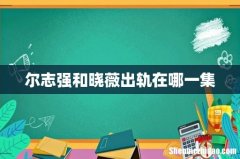 尔志强和晓薇出轨在哪一集