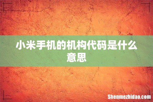 小米手机的机构代码是什么意思