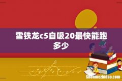 雪铁龙c5自吸20最快能跑多少