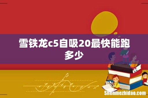 雪铁龙c5自吸20最快能跑多少