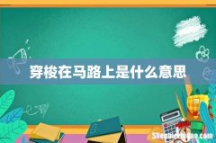 穿梭在马路上是什么意思