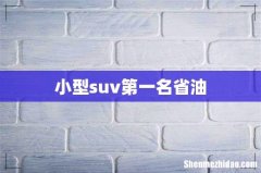 小型suv第一名省油