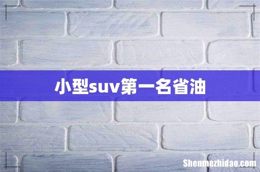 小型suv第一名省油