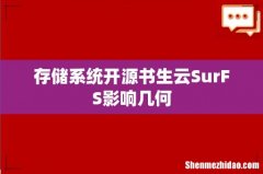 存储系统开源书生云SurFS影响几何
