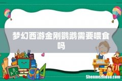 梦幻西游金刚鹦鹉需要喂食吗