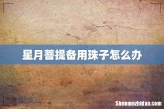 星月菩提备用珠子怎么办