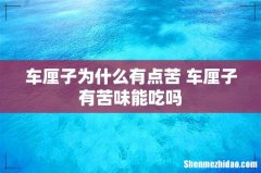 车厘子为什么有点苦 车厘子有苦味能吃吗