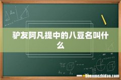 驴友阿凡提中的八豆名叫什么