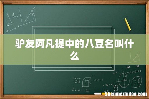 驴友阿凡提中的八豆名叫什么