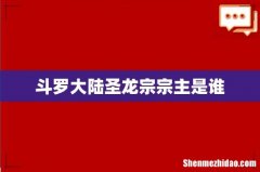 斗罗大陆圣龙宗宗主是谁