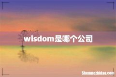 wisdom是哪个公司