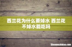 西兰花为什么要焯水 西兰花不焯水能吃吗