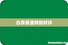 白茶茶渣辨别好坏