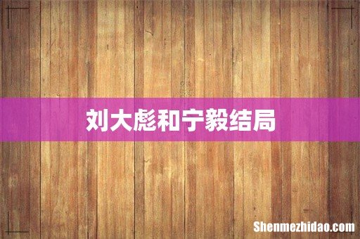 刘大彪和宁毅结局