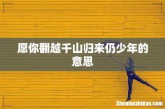 愿你翻越千山归来仍少年的意思