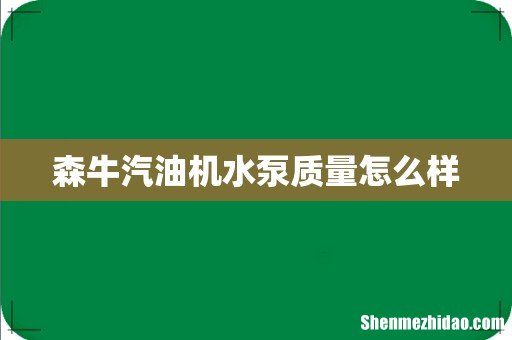 森牛汽油机水泵质量怎么样