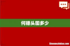 何穗头围多少