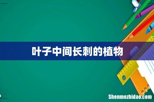 叶子中间长刺的植物