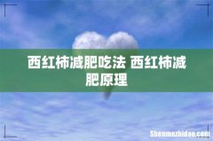 西红柿减肥吃法 西红柿减肥原理