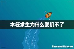 木筏求生为什么联机不了