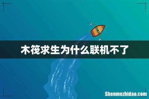木筏求生为什么联机不了