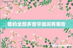 载的全部多音字组词有哪些
