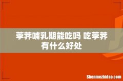 荸荠哺乳期能吃吗 吃荸荠有什么好处
