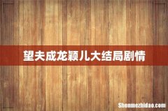 望夫成龙颖儿大结局剧情