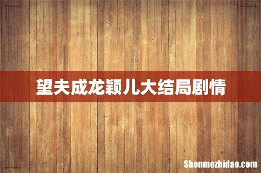 望夫成龙颖儿大结局剧情