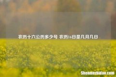 农历十六公历多少号 农历16日是几月几日