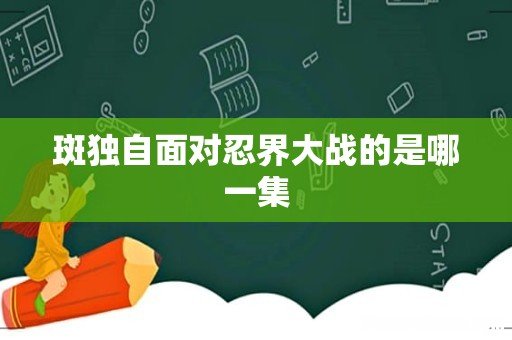 斑独自面对忍界大战的是哪一集