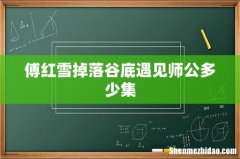 傅红雪掉落谷底遇见师公多少集