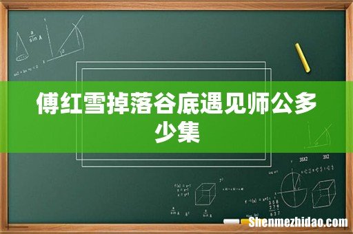 傅红雪掉落谷底遇见师公多少集