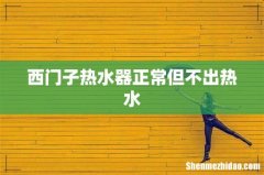 西门子热水器正常但不出热水