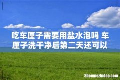 吃车厘子需要用盐水泡吗 车厘子洗干净后第二天还可以吃吗