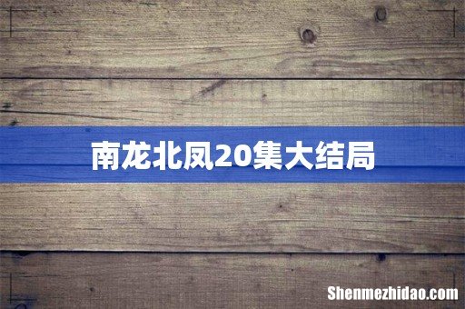 南龙北凤20集大结局