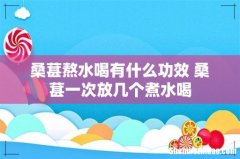 桑葚熬水喝有什么功效 桑葚一次放几个煮水喝