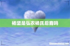 杨坚是弘农杨氏后裔吗