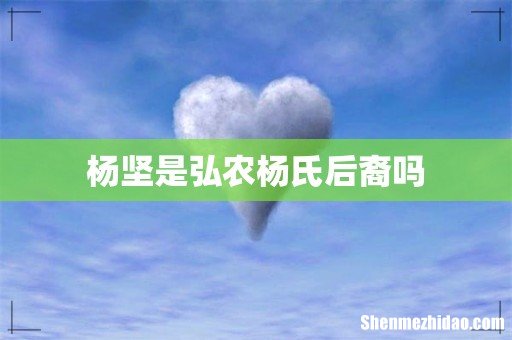 杨坚是弘农杨氏后裔吗