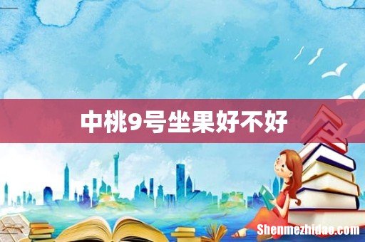 中桃9号坐果好不好
