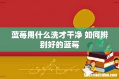 蓝莓用什么洗才干净 如何辨别好的蓝莓
