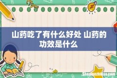 山药吃了有什么好处 山药的功效是什么