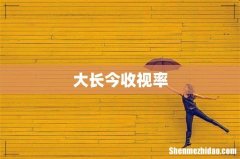 大长今收视率
