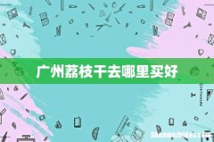 广州荔枝干去哪里买好