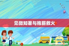 见微知著与抱薪救火